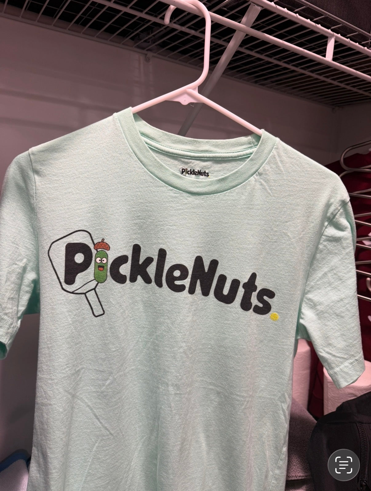 PICKLENUTS Aqua T-Shirt